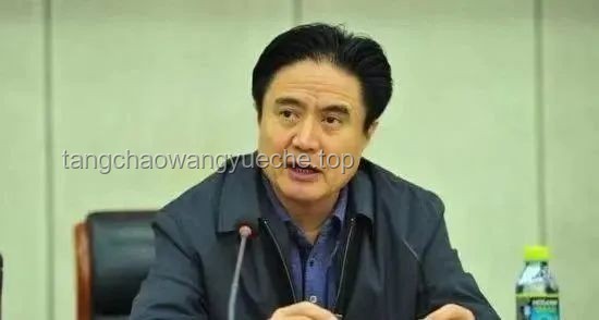 正部级“老虎”毕井泉违纪违法案例研究